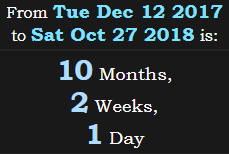 10 Months, 2 Weeks, 1 Day