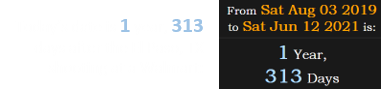 Today’s date is 1 year, 313 days after the El Paso, TX shooting at a Walmart: