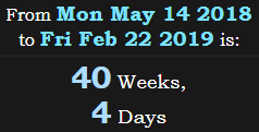 40 Weeks, 4 Days