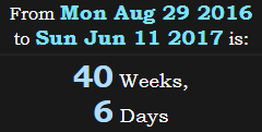 40 Weeks, 6 Days