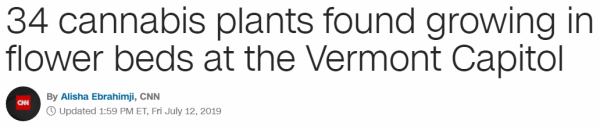 34 cannabis plants found growing in flower beds at the Vermont Capitol