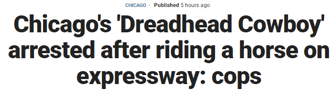 Chicago's 'Dreadhead Cowboy' arrested after riding a horse on expressway: cops