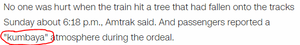 No one was hurt when the train hit a tree that had fallen onto the tracks Sunday about 6:18 p.m., Amtrak said. And passengers reported a "kumbaya" atmosphere during the ordeal.