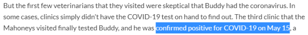 the first few veterinarians that they visited were skeptical that Buddy had the coronavirus. In some cases, clinics simply didn’t have the COVID-19 test on hand to find out. The third clinic that the Mahoneys visited finally tested Buddy, and he was confirmed positive for COVID-19 on May 15