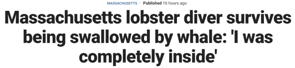 Massachusetts lobster diver survives being swallowed by whale: 'I was completely inside'