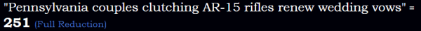 "Pennsylvania couples clutching AR-15 rifles renew wedding vows" = 251 (Full Reduction)