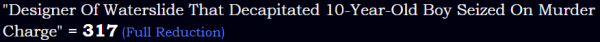 "Designer Of Waterslide That Decapitated 10-Year-Old Boy Seized On Murder Charge" = 317 (Full Reduction)