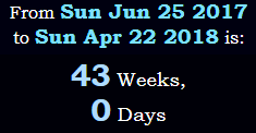 43 Weeks, 0 Days