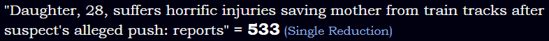 "Daughter, 28, suffers horrific injuries saving mother from train tracks after suspect's alleged push: reports" = 533 (Single Reduction)
