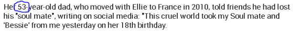 Her 53-year-old dad, who moved with Ellie to France in 2010, told friends he had lost his "soul mate", writing on social media: "This cruel world took my Soul mate and 'Bessie' from me yesterday on her 18th birthday.