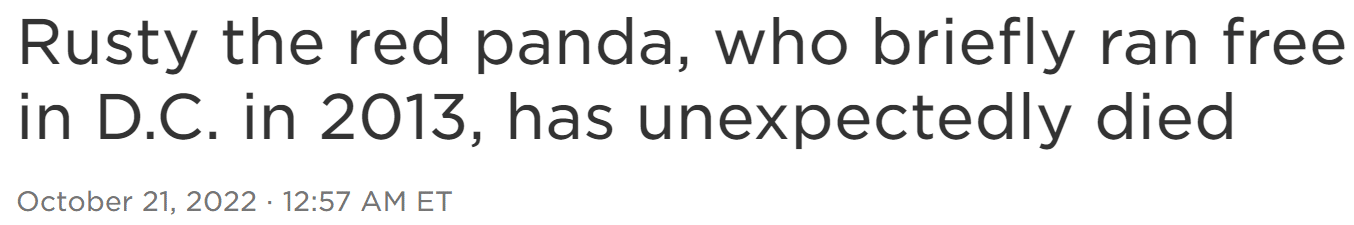 Rusty the red panda, who briefly ran free in D.C. in 2013, has unexpectedly died