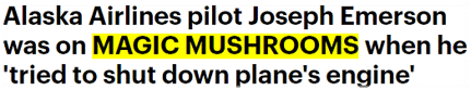Alaska Airlines pilot Joseph Emerson was on MAGIC MUSHROOMS when he 'tried to shut down plane's engine'