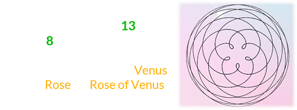 Venus orbits the Sun 13 times every 8 Earth years. Tracking Venus in the sky during this period produces the Venus Rose, or Rose of Venus: