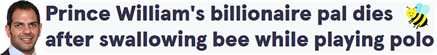 Prince William's billionaire pal dies after swallowing bee while playing polo