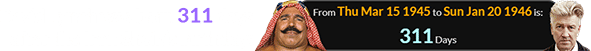 David Lynch was born 311 days after the Iron Sheik’s birthday: