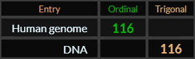 Human genome and DNA both = 116